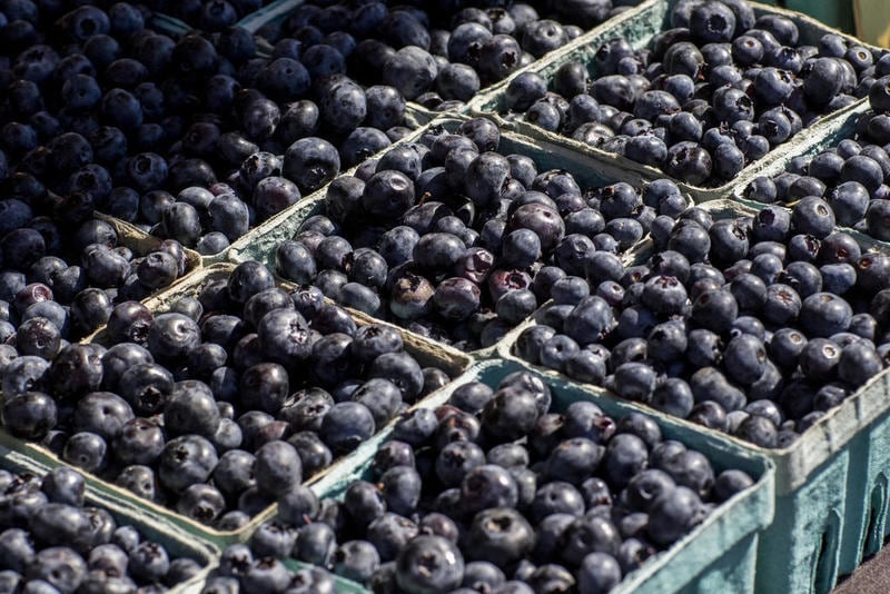 Blueberry festivals this weekend in Geneva, Plano