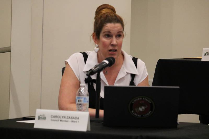 DeKalb 1st Ward Alderwoman Carolyn Zasada gives remarks at an Aug. 26, 2024 public meeting for a tax increment finance district proposed for the Fourth Street corridor in DeKalb.