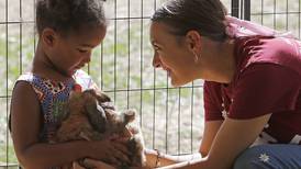 Photos: 2024 McHenry County Farm Stroll