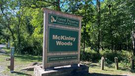 Will County forest district board OKs $1 million land deal to expand McKinley Woods 