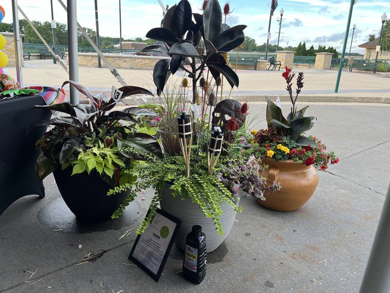 This Day of the Dead inspired planter (middle) with five plants, a metal skull garden stake, mini bamboo torches and citronella oil sold for $225 at the event.