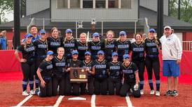 Softball: St. Charles North jumps to early lead, beats St. Charles East for sectional title