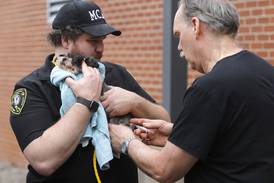 McHenry County Animal Control to host low-cost rabies vaccination and microchip clinics