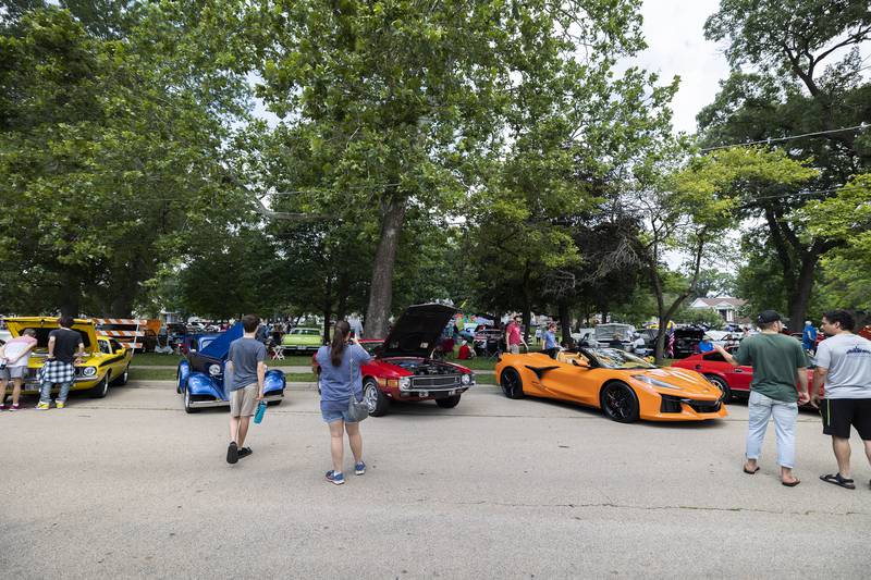 Over 100 cars were put on display at John Dixon park  Monday, July 3, 2023. The annual Petunia Fest car show was moved from the Peoria Avenue bridge to the cool canopy of the park.