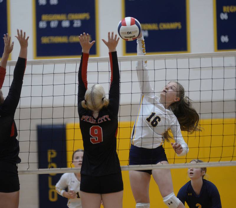 Polo's Bridget Call (16) hits over Pearl City blockers during a Thursday, Aug. 31, 2023 match at Polo High School.