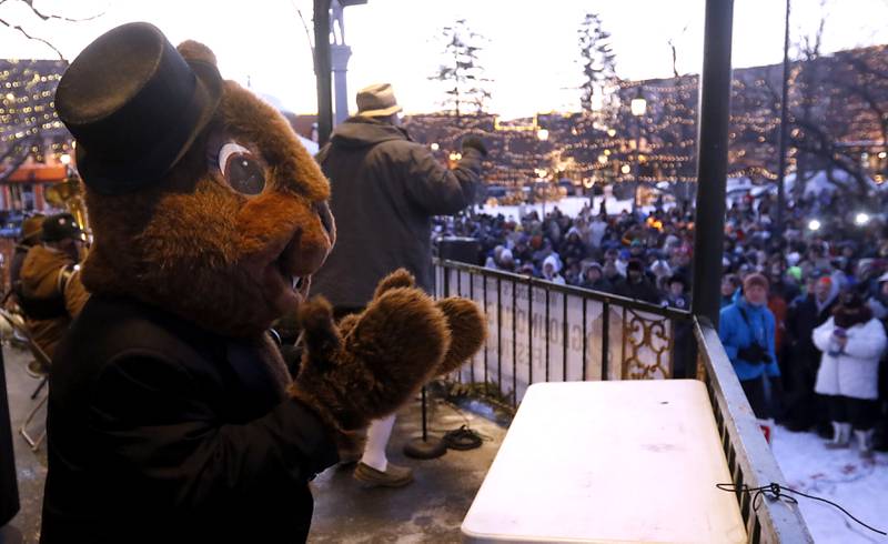 Woodstock Willie dances with the polka music played by Die Musikmeisters as they entertain the crowd Thursday, Feb, 2, 2023, during the annual Groundhog Day Prognostication on the Woodstock Square.