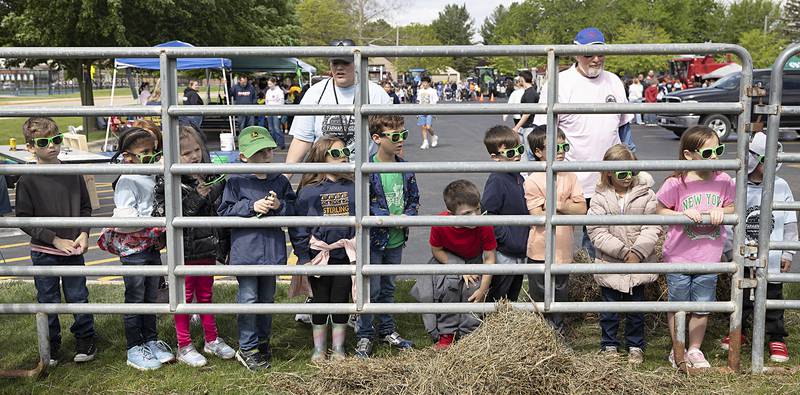 Jefferson School kindergarteners check out a cow and her baby Thursday, May 9, 2024 during Sterling High School’s FFA Farmapalooza. Students in the Future Farmers of America class put on display many things agriculture during the event and invited school children and the public to attend and learn.