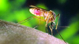 Bird collected near Sterling tests positive for West Nile virus 