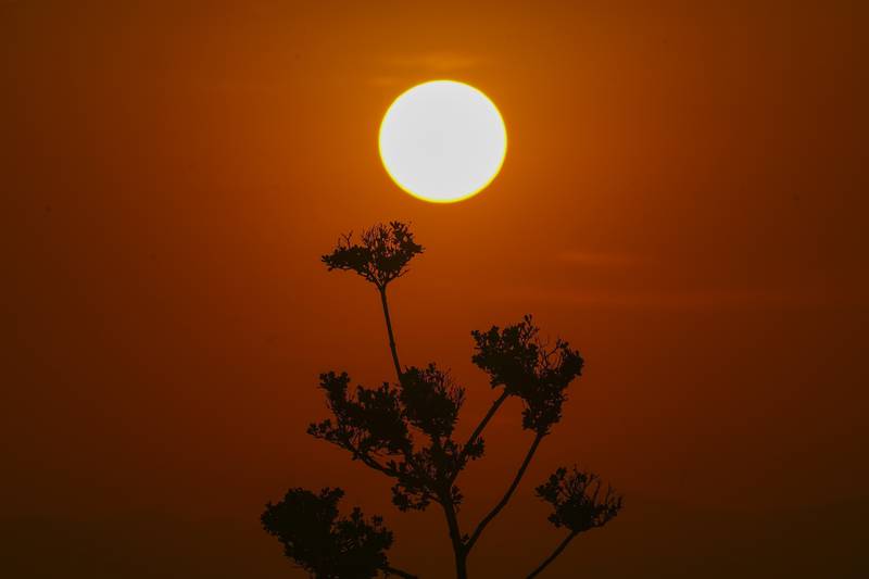 The sun rises amid high temperatures in Mexico City, Thursday, May 23, 2024. Extreme heat in Mexico, Central America and parts of the U.S. South has left millions of people in sweltering temperatures, strained energy grids and resulted in iconic Howler monkeys in Mexico dropping dead from trees. (AP Photo/Marco Ugarte)