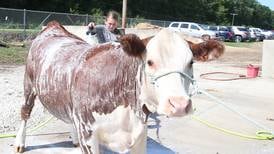 Livingston County 4-H to showcase youth July 17-20