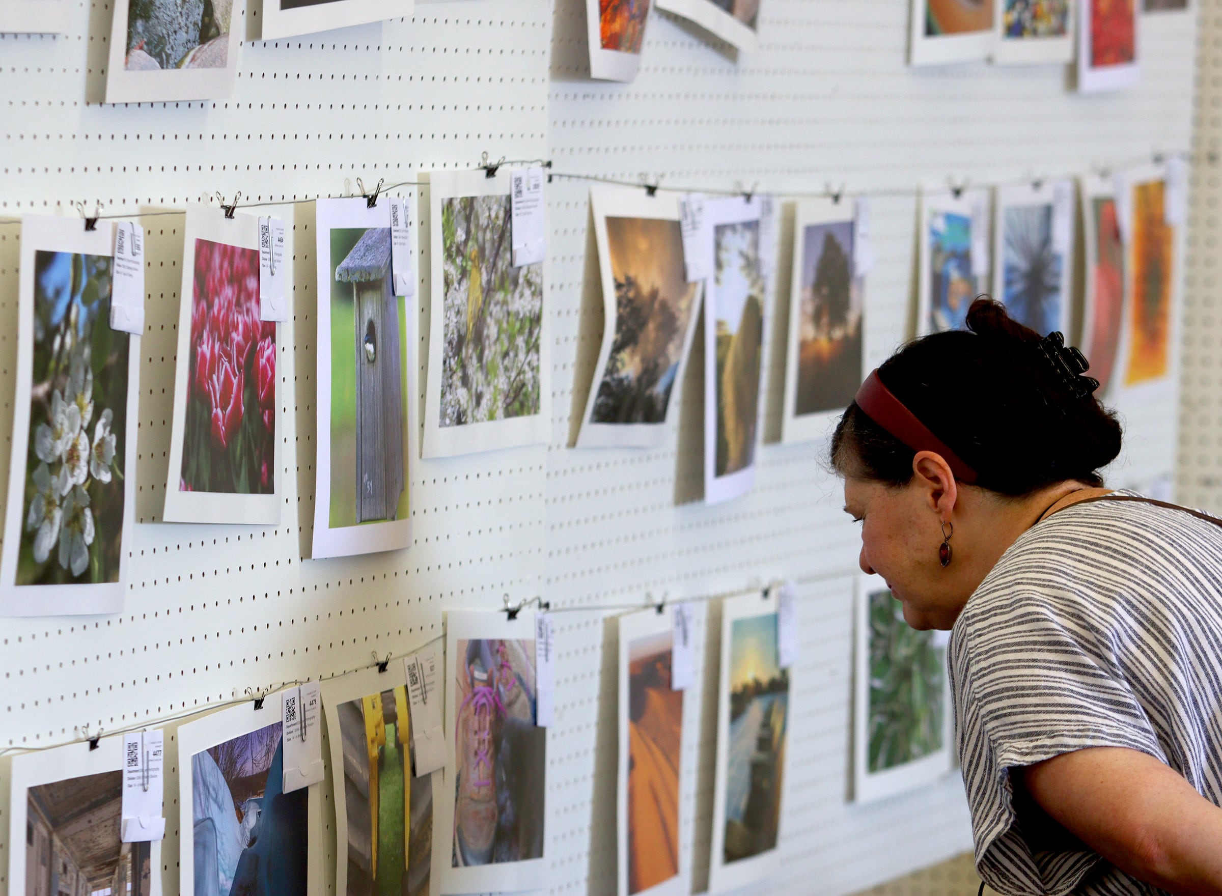 Nancy Graves of McHenry enjoys the open photography exhibit as part of the McHenry County Fair in Woodstock on Tuesday, July 30.