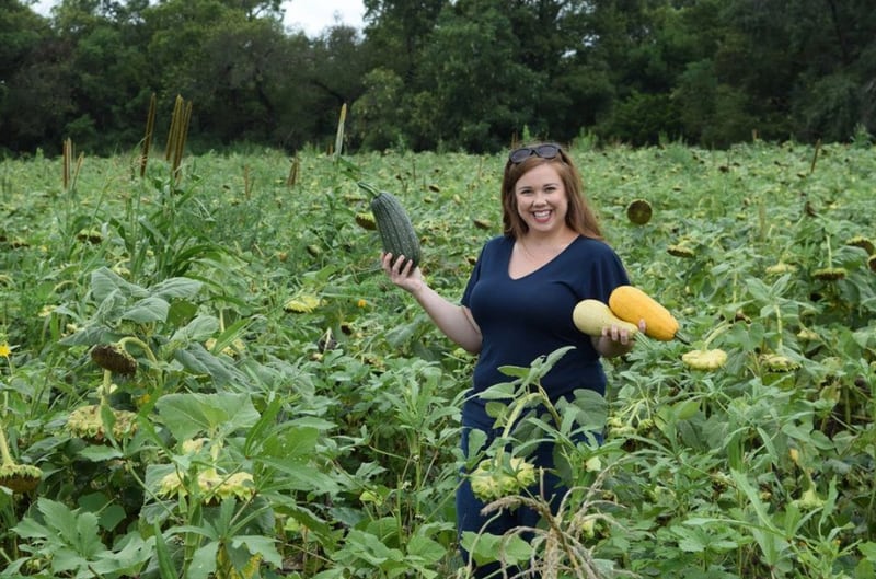 The Land Conservancy of McHenry County invites members of the public to a garden planting event from 5 to 6:30 p.m. Tuesday, May 21, 2024 at the Apple Creek Food Forest in Woodstock.