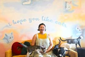 Suburbs’ first cat cafe lets you lounge with some cool kitties