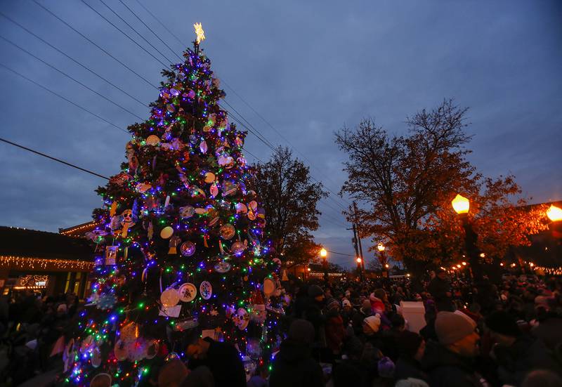 Photos Tree lighting in Downers Grove Shaw Local