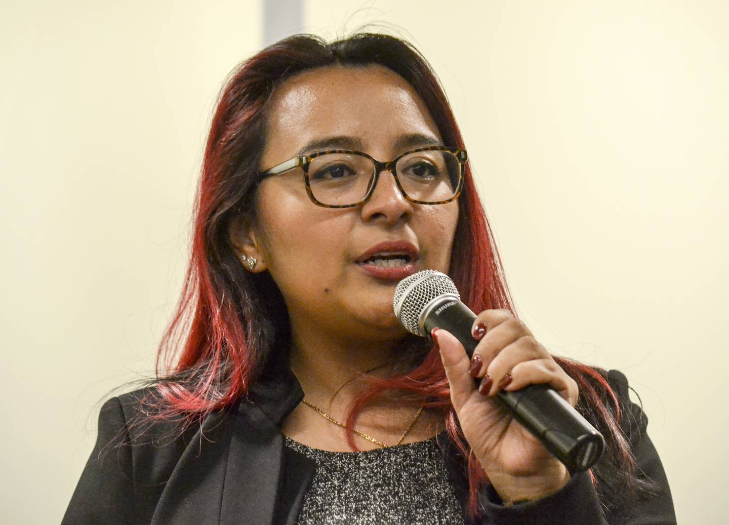 State Rep. Dagmara "Dee" Avelar speaks to voters on Wednesday, Jan. 22, 2020, in Bolingbrook, Ill.