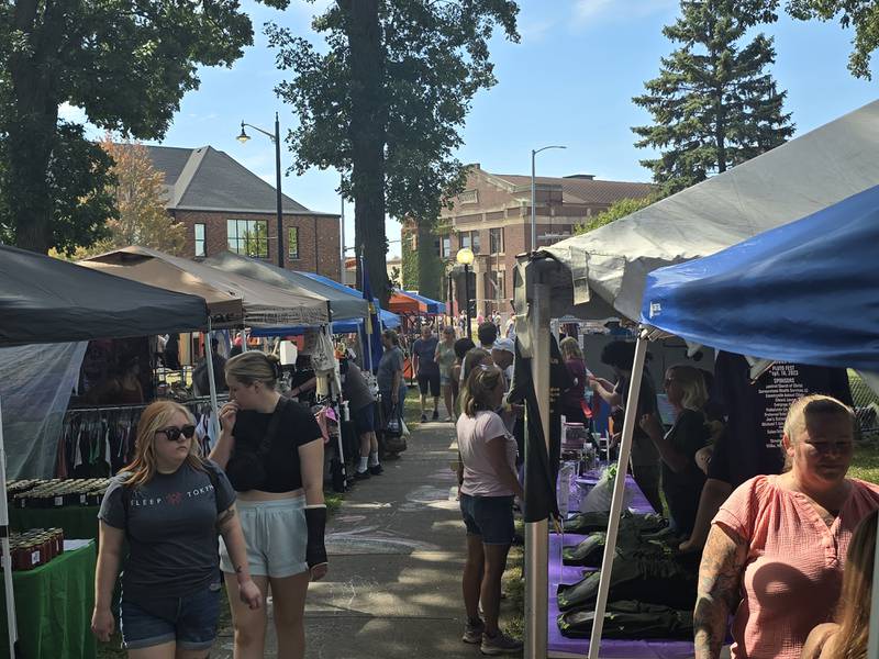 Visitors stroll through a craft vendors row Saturday, Sept. 14, 2024, during the Pluto Festival in Streator's City Park.