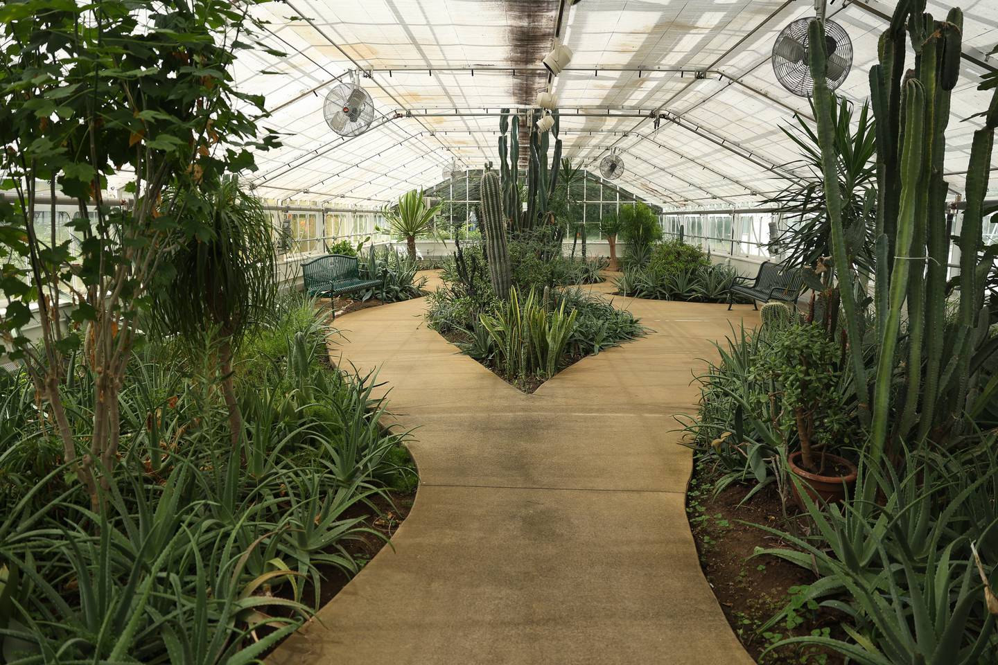 The desert room features a variety of cactuses at the Bird Haven Greenhouse and Conservatory on Wednesday, Aug. 30, 2023 in Joliet.