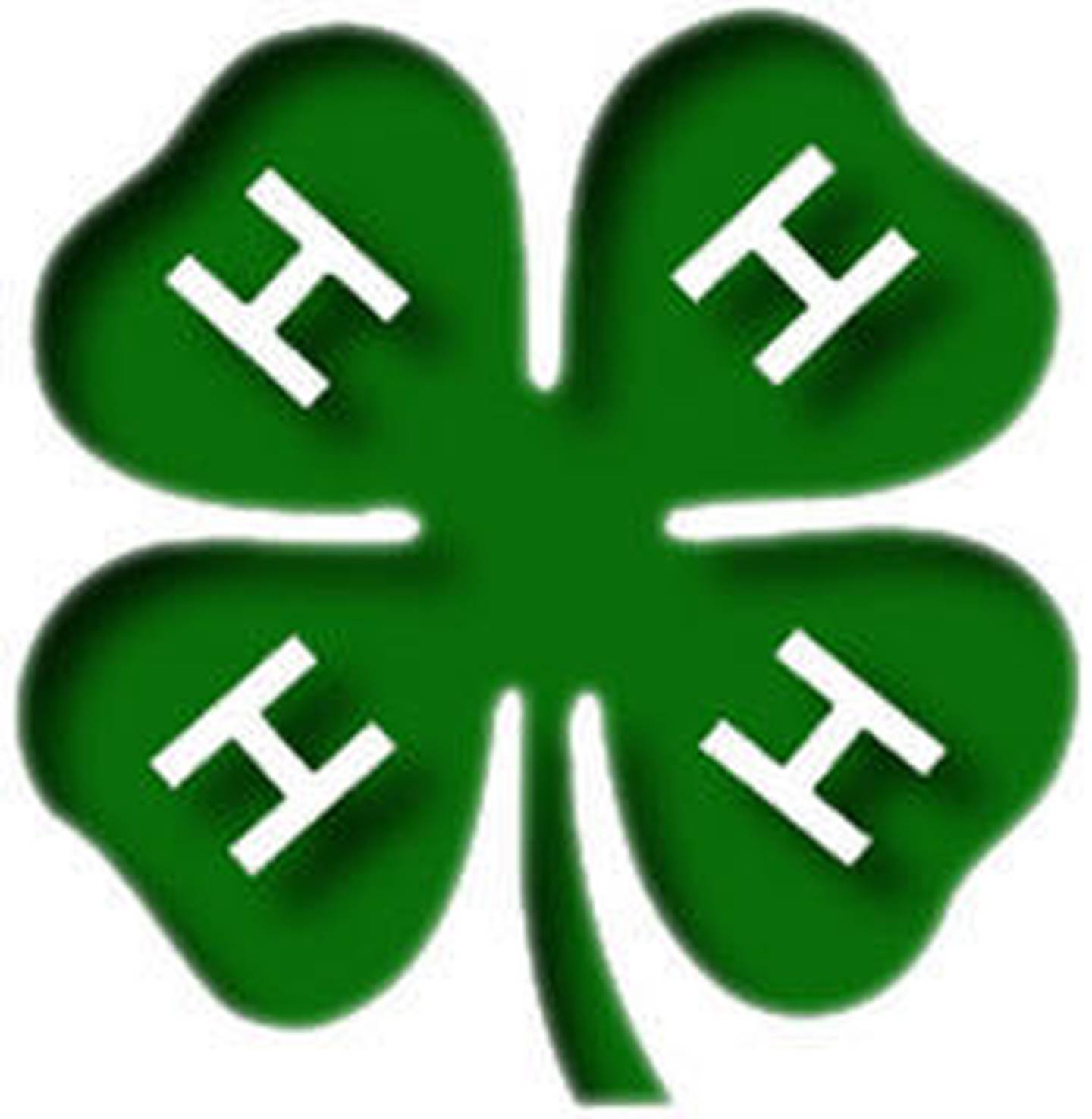 4H prepares for virtual fairs across area Shaw Local