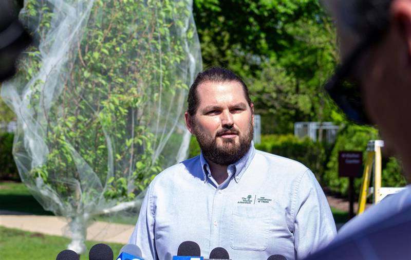 Spencer Campbell, plant clinic manager at the Morton Arboretum, answers questions about cicadas in front of a netted tree. Campbell emphasized it is important to choose proper material when netting trees vulnerable to cicadas.