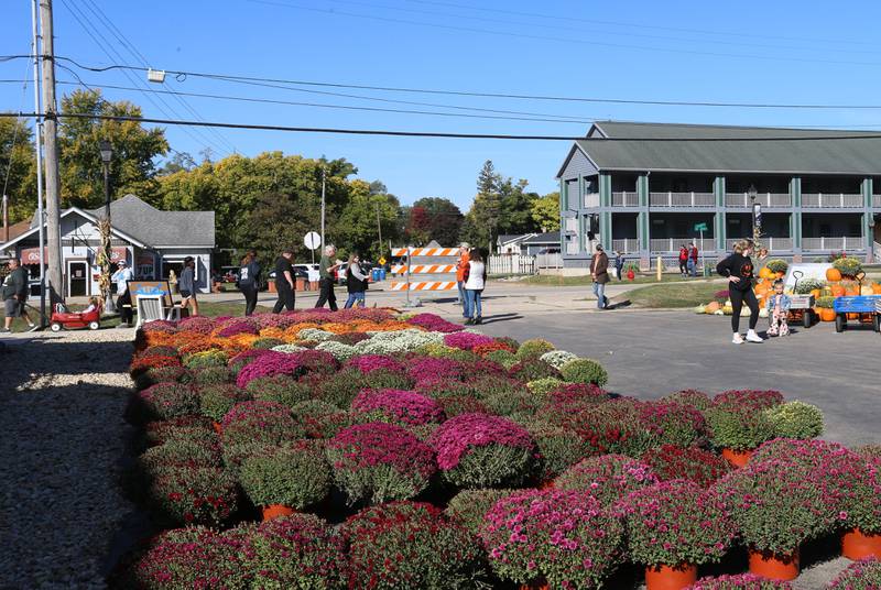 Colorful mums and pumpkins line the parking lot at Country Kids Produce during the 52nd annual Burgoo on Sunday, Oct. 9, 2022.