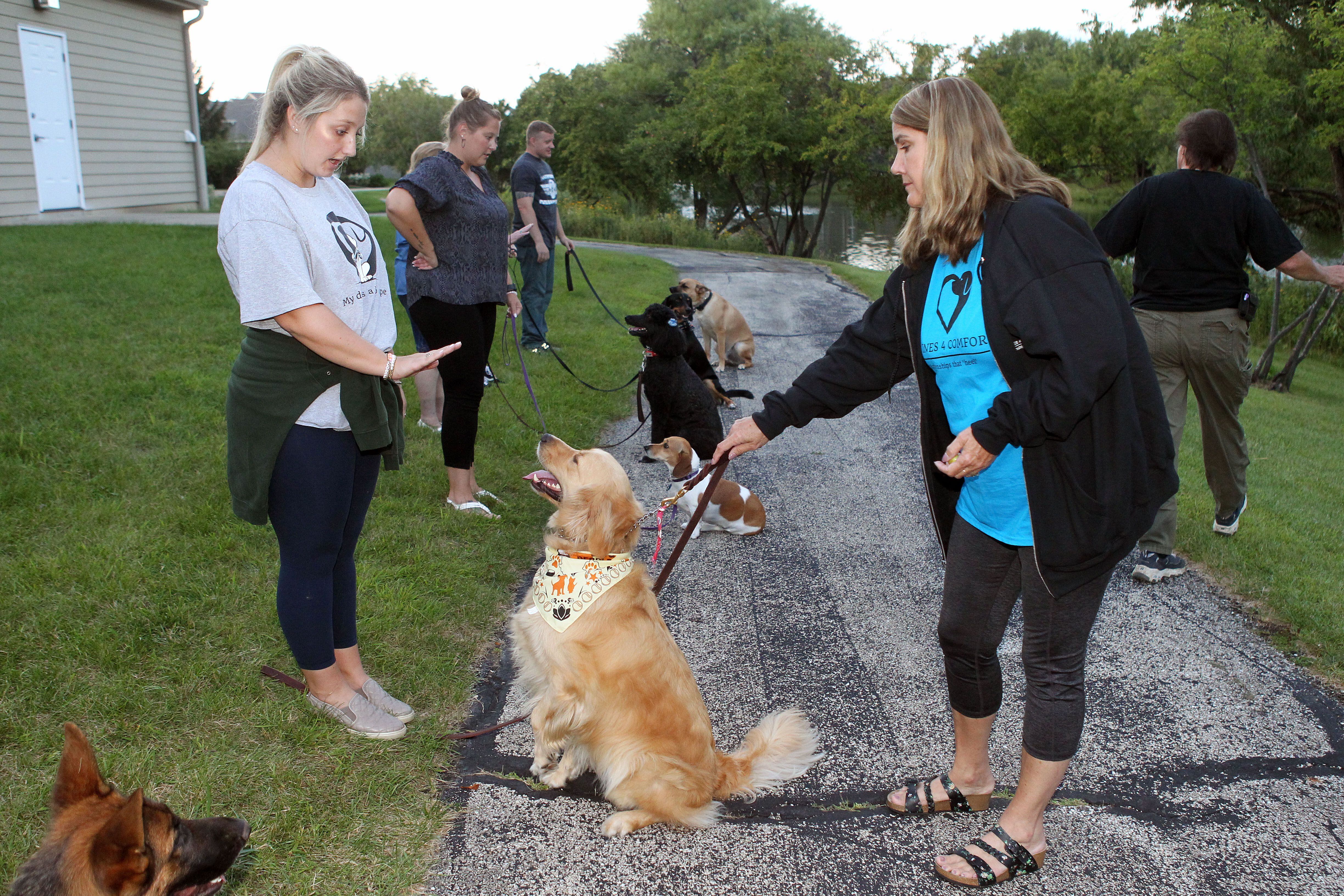 Giants emotional support dog is popular addition to minor league camp – NBC  Sports Bay Area & California