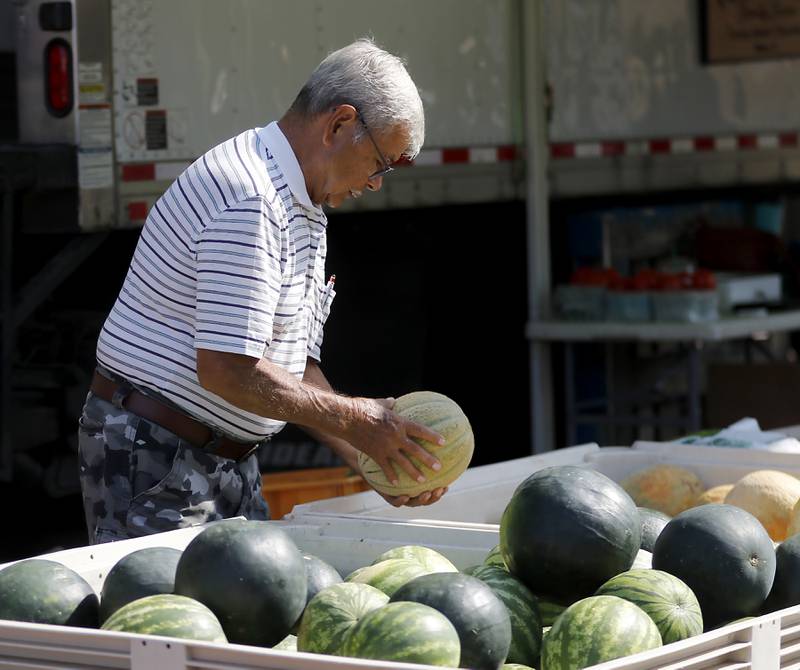 Tony Zamorano picks out a muskmelon on Tuesday, Aug. 27, 2024, from the Van Bergen’s Country Market booth during the Summer Woodstock Farmers Market around the Historic Woodstock Square. People were able to shop from over 40 of their favorite farms & producers for in-season food fresh produce, dairy, meats, breads, baked goods, spices, herbs, pasta, flowers and more.