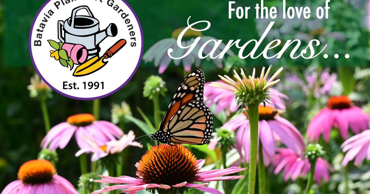 Batavia Garden Club hosts garden walk in July – Shaw Local