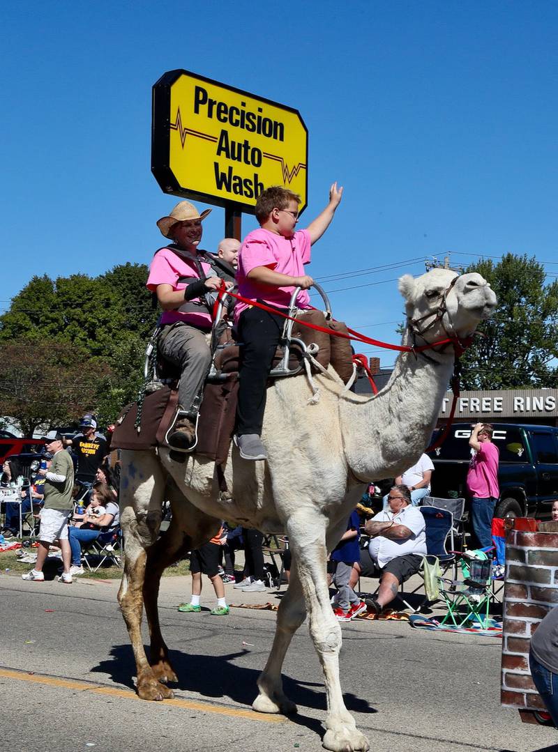 People ride a camel during the Homestead Festival Parade on Saturday, Sept 7, 2024 in Princeton.