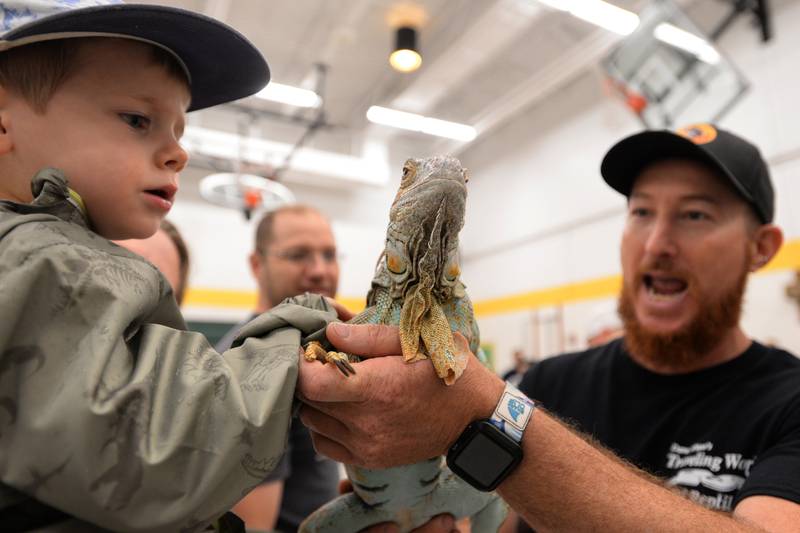 Children including Will Nicholson of Downers Grove get to pet animals including an Iguana with the help of Traveling World of Reptiles employee Jeremy Taulbee during the Child Safety Expo held at Lakeview Junior High in Downers Grove Saturday June 1, 2024.