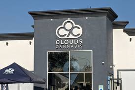 Cloud 9 Cannabis in Oswego holds grand opening weekend