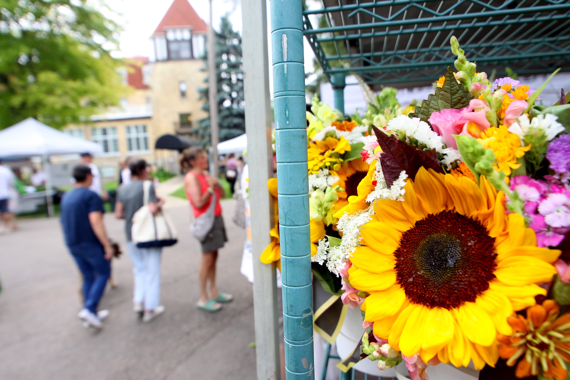 People enjoy The Dole Farmers Market in Crystal Lake Sunday.