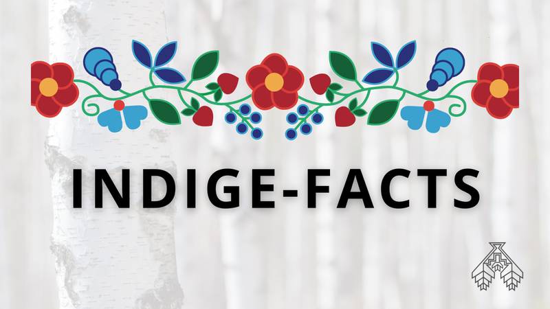 The Forest Preserve District of Will County has announced it will host “Indige-Facts” from Saturday, Sept. 21, to Sunday, Dec. 8, 2024 at Isle a la Cache Museum in Romeoville.