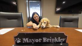 Sterling’s Brinkley among 2 honorary mayors leading city Monday