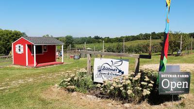 U-pick em: Dittmar Farms and Orchard offers fall delights in northwest Illinois