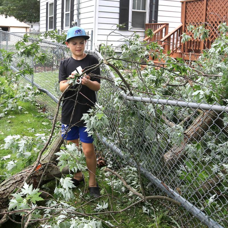 Blake Richter, 10, helps pull parts of a large branch off of a fence in his back yard on Central Avenue in Genoa Tuesday, July 16, 2024, after it fell during the sever thunderstorm Monday night. The storm caused localized damage and flooding throughout DeKalb County.