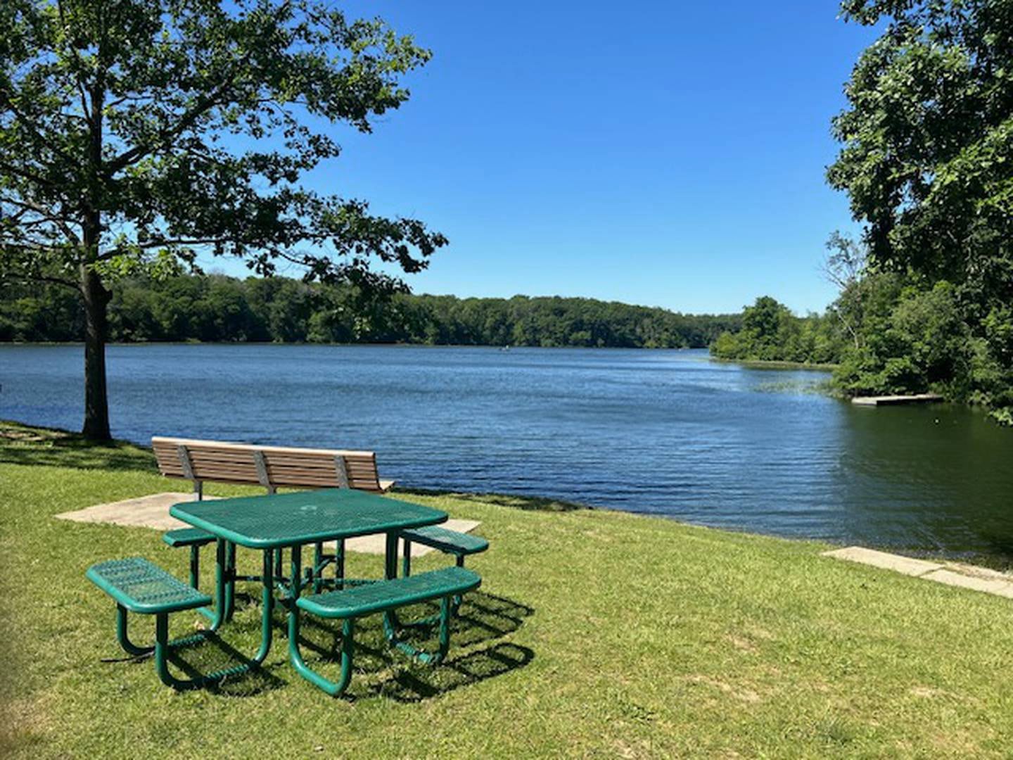 A view of Lake Carlton at Morrison-Rockwood State Park in rural Morrison on Friday, June 7, 2024.