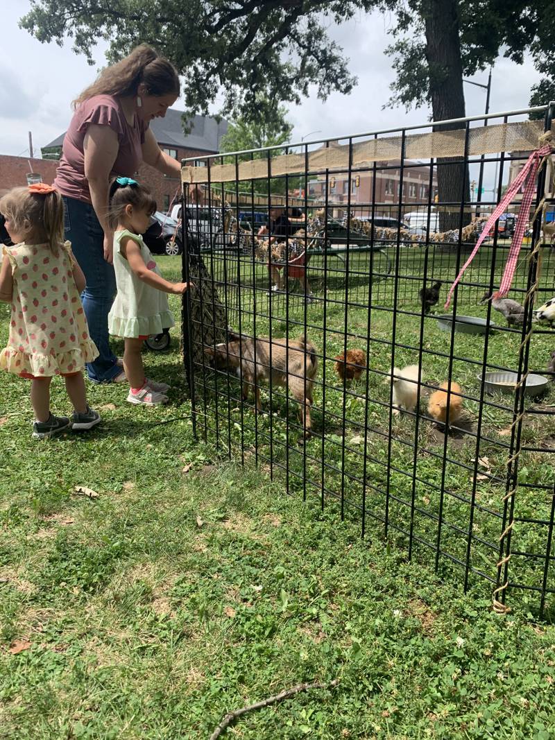 Families enjoyed Liberty Fest's petting zoo in Streator on June 29, 2024. (Bill Freskos)