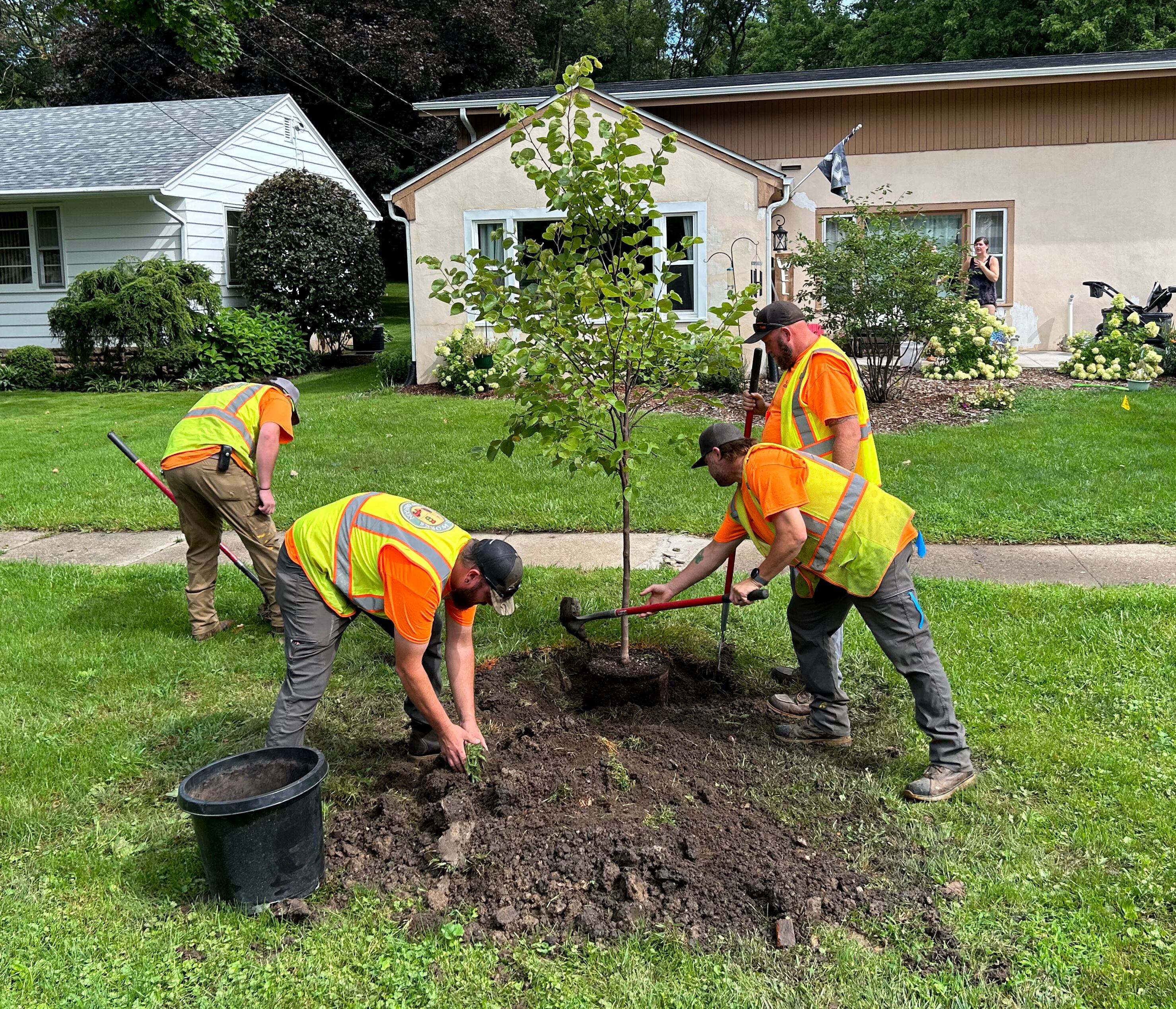 Homeowners pitch in to plant new trees in Oregon