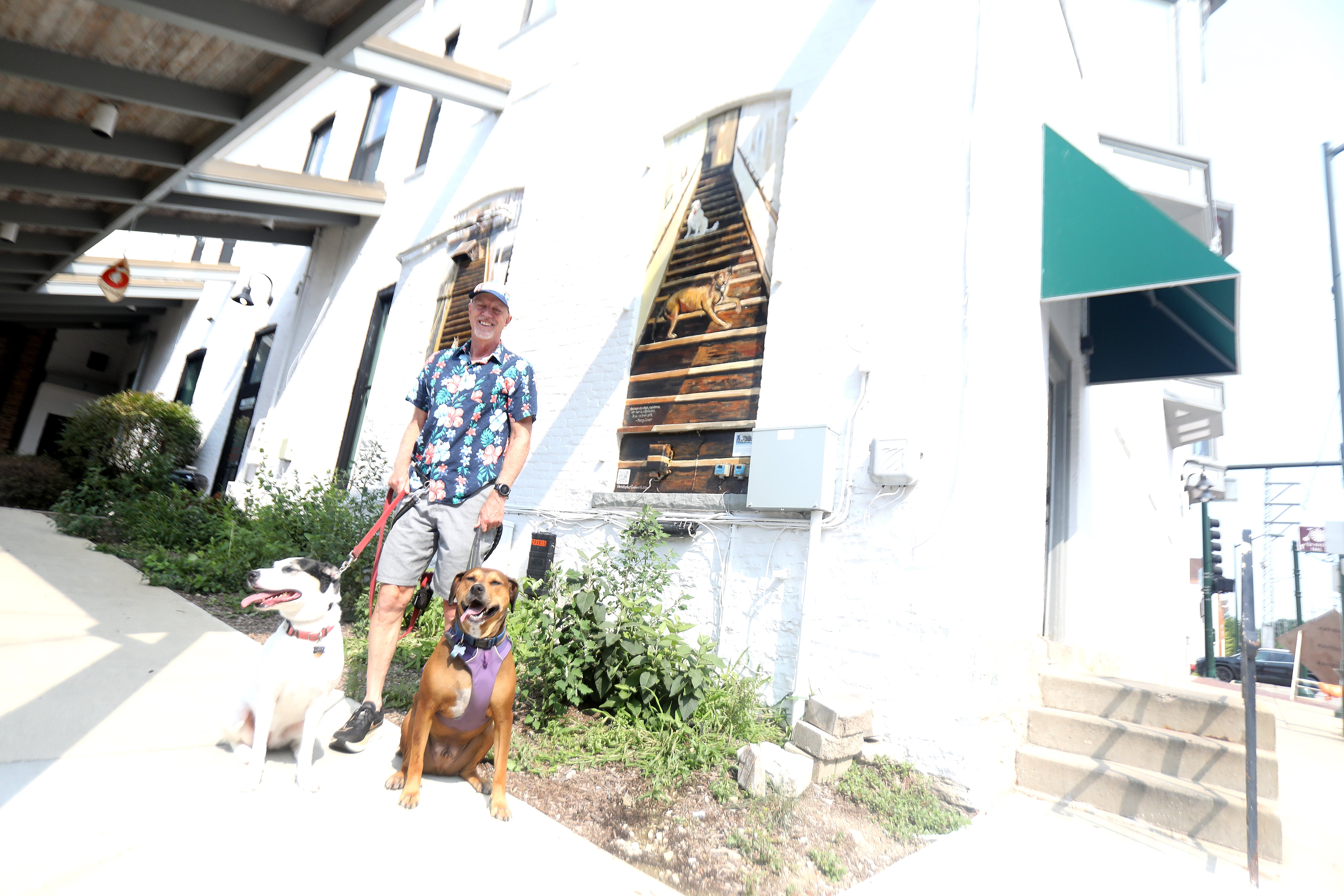 Artist Chris Cudworth used his two rescue dogs, Lucy (left) and Crash (right), as models for a mural he painted on the backside of the Fox.Build Makerspace building in downtown St. Charles.