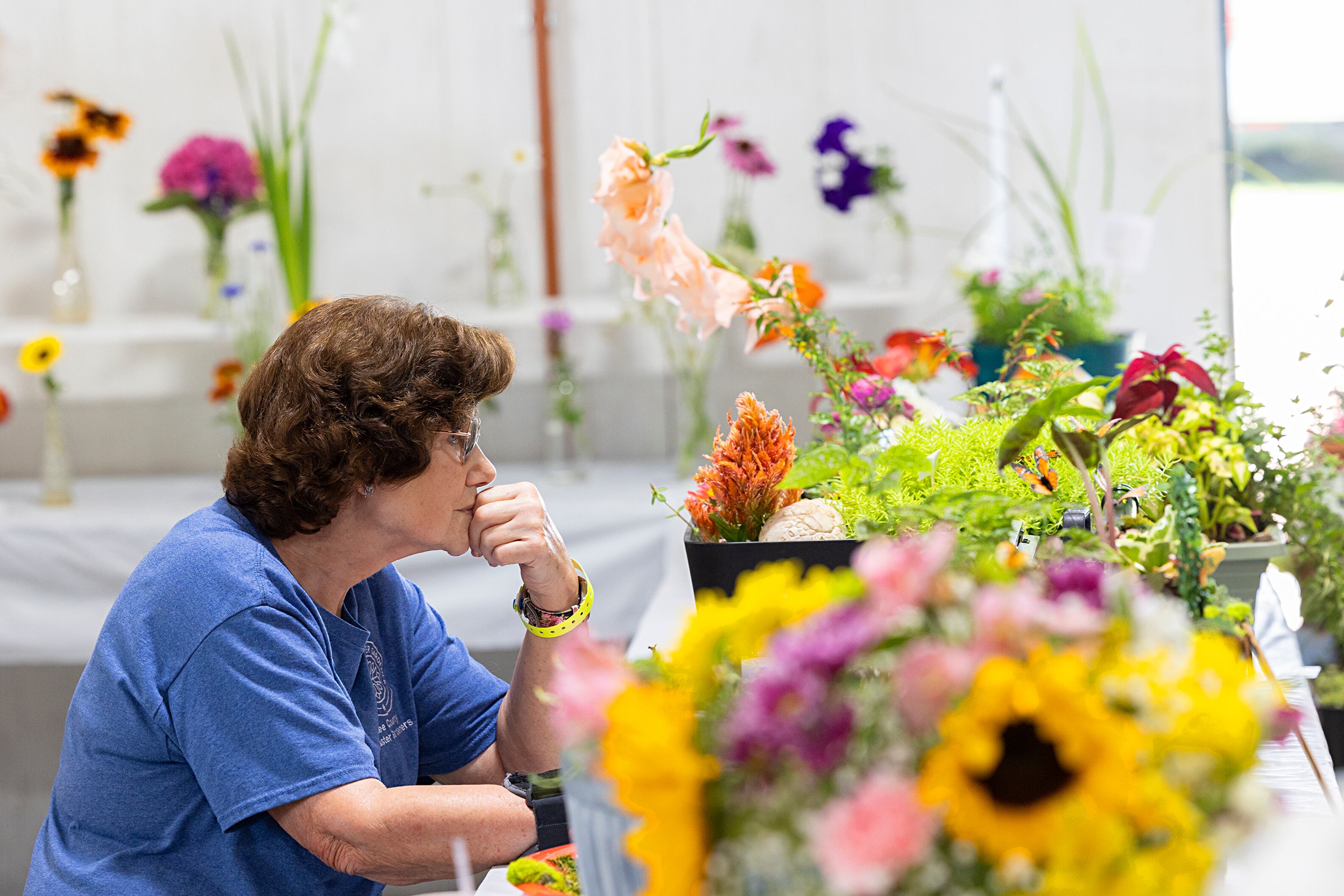 Lee County Master Gardener Joyce Better of Paw Paw judges a display Thursday, July 25, 2024 at the Lee County 4H Fair.