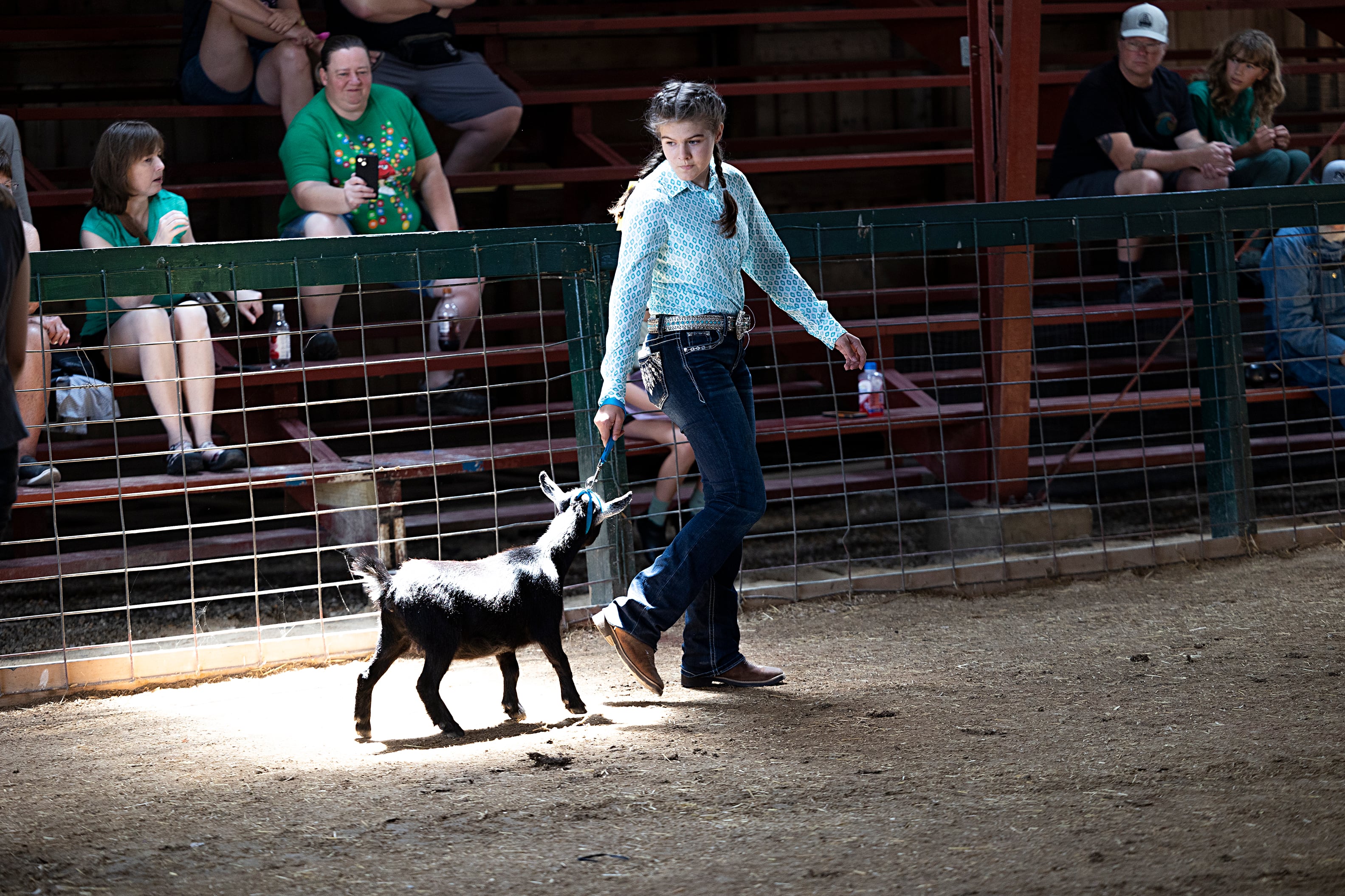 Mairin Meyers, 13, of Chana leads her goat through the judging Thursday, July 25, 2024 at the Lee County 4H Fair. The fair might go down as the GOAT as there were a record number of goat submissions this year.