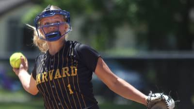 Softball: 2024 Northwest Herald All-Area Team