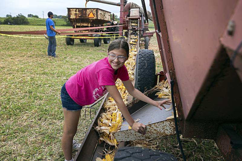 Brianna Betz, 11, of Compton works to unload ears of corn from a wagon Saturday, August 5, 2023 at the Living History Antique Equipment Association’s farm show in Franklin Grove. Antique tractors and other farming equipment was put to work to showcase practices of days gone by.