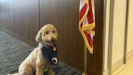 Lake County Courthouse partners with Canines 4 Comfort