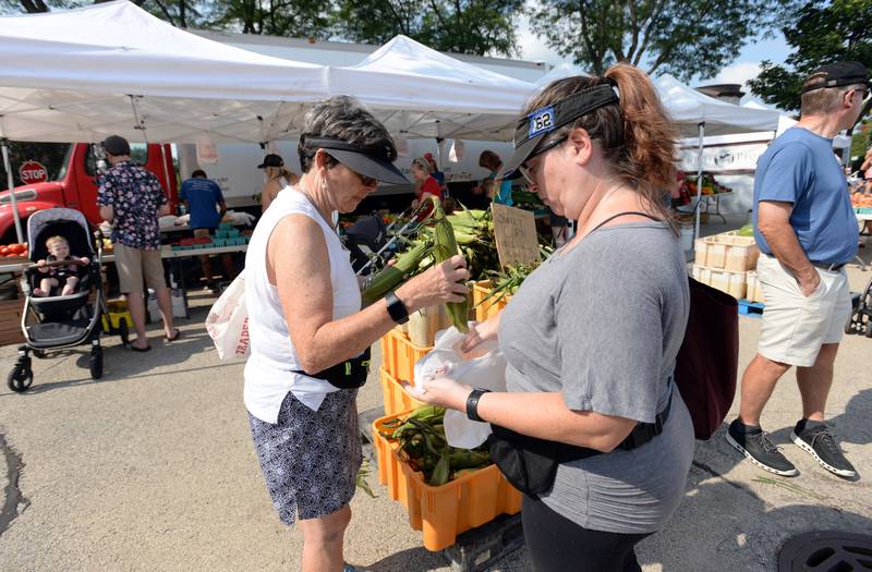 Photos Downers Grove Farmers Market Shaw Local