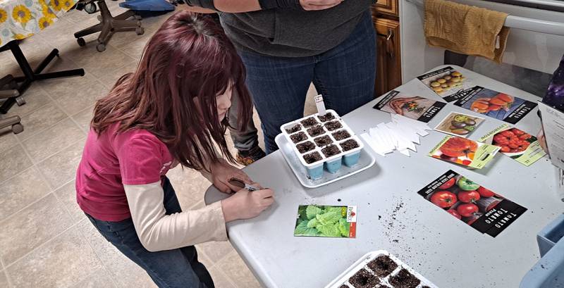 4-Hers work on the "grow" phase of their project. Henry Methodist Church partnered with the 4-H members and Master Gardeners, providing space for the club's planting activities.