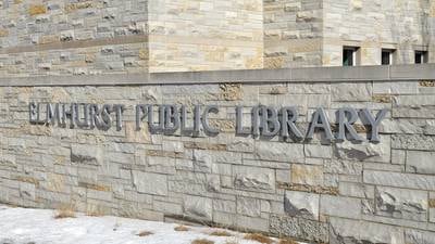 Elmhurst library seeks submissions for author fair  