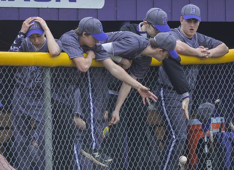 The Dixon Dukes’ bench reaches for a foul ball Wednesday, March 13, 2024 against Rockford Jefferson.