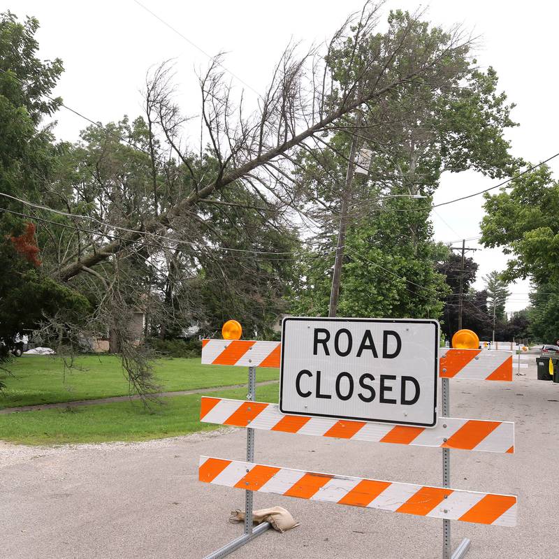 An uprooted tree lies across power lines on Central Avenue in Genoa Tuesday, July 16, 2024, after it fell during the severe thunderstorm Monday night. The storm caused localized damage and flooding throughout DeKalb County.