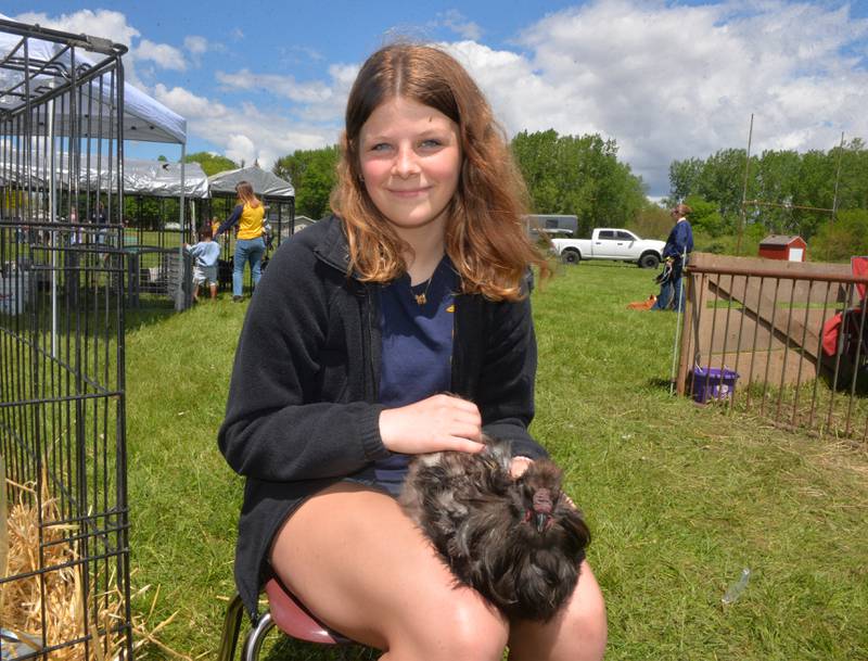 Courtney Davis, a Polo FFA member, holds Jim, a silky rooster, in her lap at the Polo High School's FFA Petting Zoo on Friday, May 10, 2024. FFA members and high school agriculture students brought animals and farm machinery to this year's event.